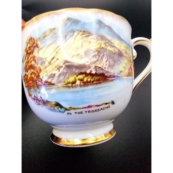 VTG Taylor & Kent Scottish Clan Cameron Lusterwear Tea Cup Saucer Bone China - Picture 2 of 16